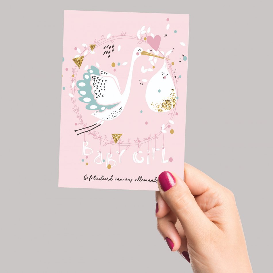 Geboorte Baby Girl - ooievaar