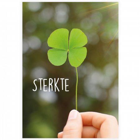 Beterschap Sterkte - klavertje vier