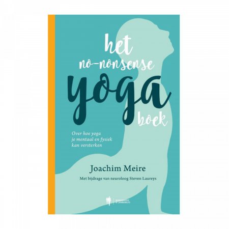 Het no-nonsense yogaboek